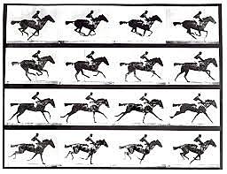 Eadweard Muybridge