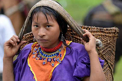 Protección del estado a etnias.