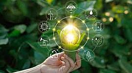 Timeline: Indicadores y criterios de sustentabiliad