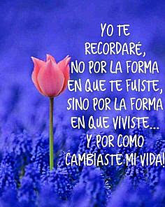 El partimiento  de  mi  vida  en dos