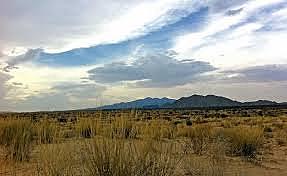 ¿Cual crees que sea la problemática que se presenta a largo plazo derivada del proyecto de la lechera?