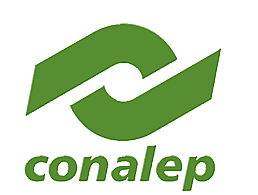 Ingrese al bachiller