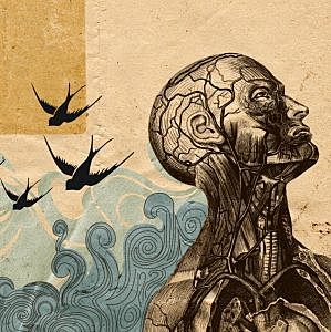 Funcionalismo (Siglo XIX)