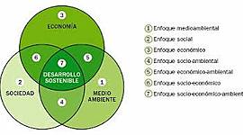 Timeline:  indicadores y criterios de sustentabilidad