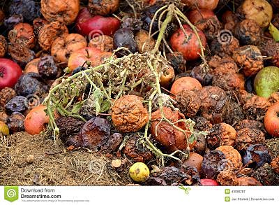 Materiales orgánicos