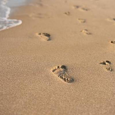 Timeline: ¡Tras los pasos de la infancia y la adolescencia!