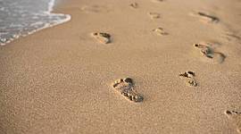 Timeline: ¡Tras los pasos de la infancia y la adolescencia!