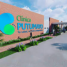 Otro nuevo trabajo- 2019