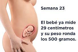 semana 23