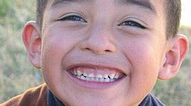 Timeline: Linea de vida