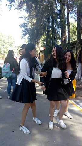 Mis compañeras de vida