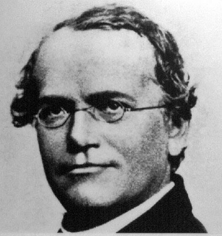 Gregor Mendel