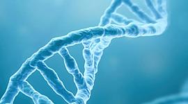 Timeline: DNA-ren historia