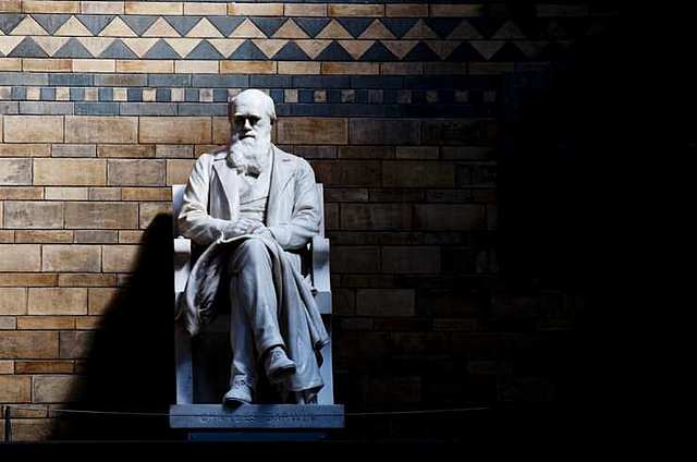 Teoría de la evolución