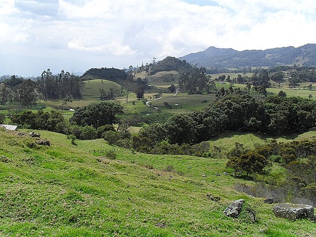 Siglo XIX. ESTUDIO DE LA VIDA COTIDIANA EN EL ALTIPLANO CUNDIBOYACENSE TUNJA- BOYACA