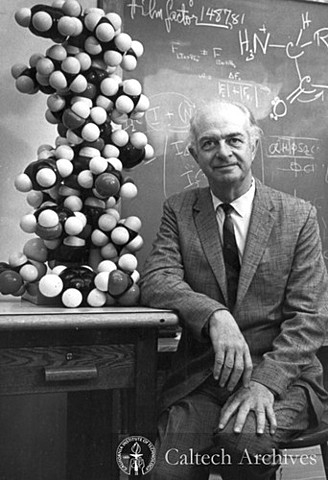 Structure of DNA discovered.