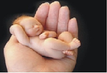 MIRADA DE LA ETICA LA BIOETICA PERIODO 2000 -20015