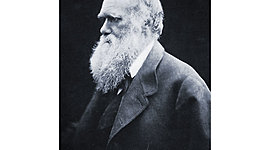 Timeline: Naturalist Charles Robert Darwin (Feb. 1809-April 1882)