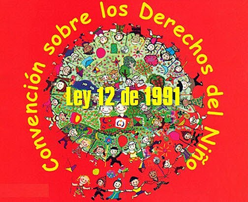 LEY 12 DE 1991