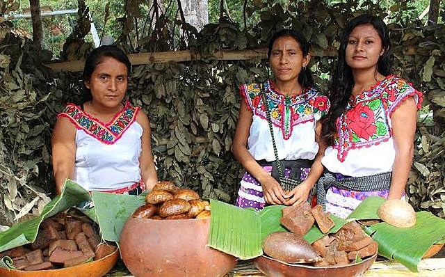 Ley del Instituto Nacional de Pueblos Indígenas.