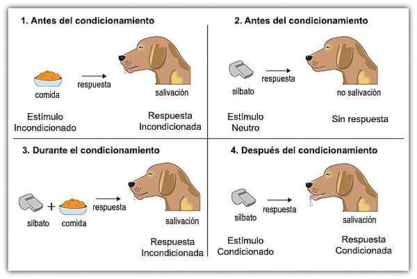 Condicionamiento Clasico