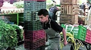 Prusia: Se eleva en la Ley, el trabajo hasta los 12 años.