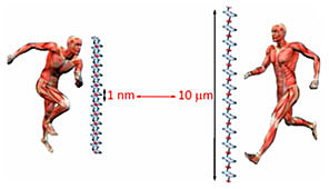 Синтез кольцевых молекул