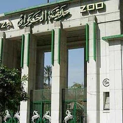 Timeline: حديقة حيوان الجيزة