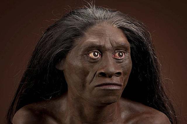 Homo floresiensis (38.000-13.000 años)
