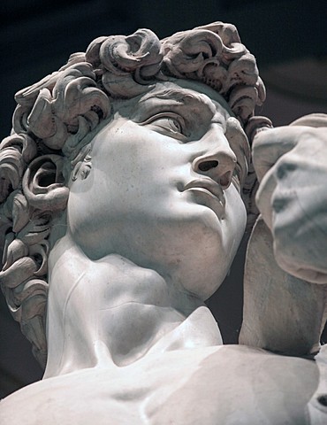 Michelangelo completes the sculpture the David