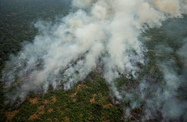 Incendi a l'Amazonas.( Climatic)