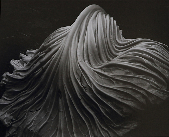 Edward Weston