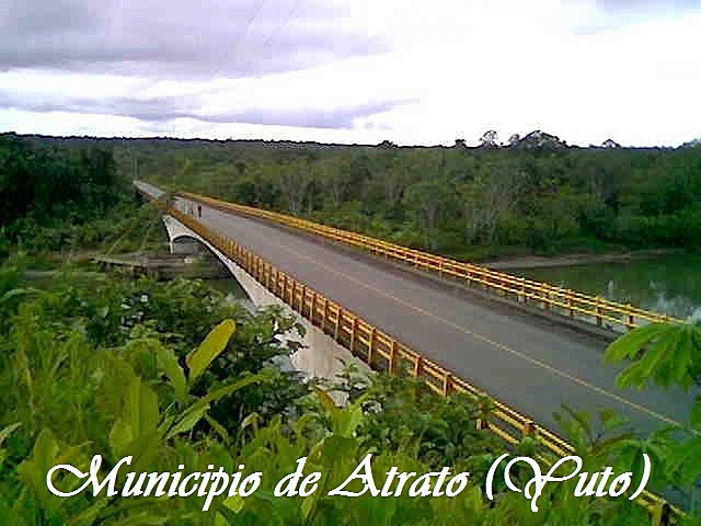 Pre-diseño del acueducto y alcantarillado para el municipio de puente Tanando (departamento del chocó)