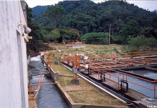 The Governance of water and its quality in three aqueducts of Villavicencio(Article) [La Gobernanza del agua y su calidad en tres acueductos de Villavicencio (Colombia)]