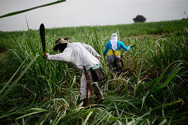 Decreto 1745 de 1995