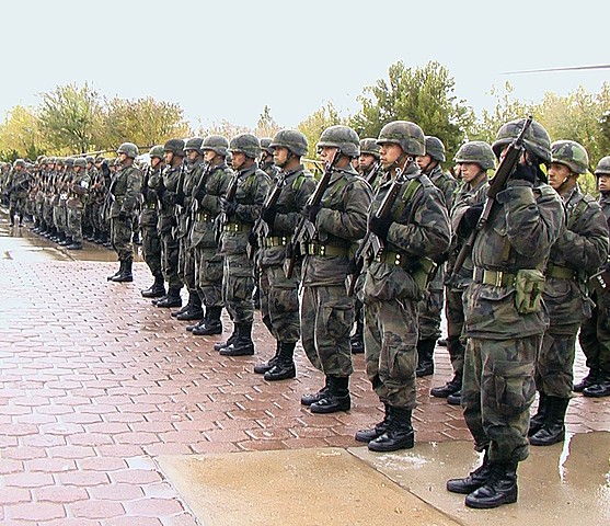 La Organización militar.