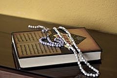 1797 Catholic in NSW