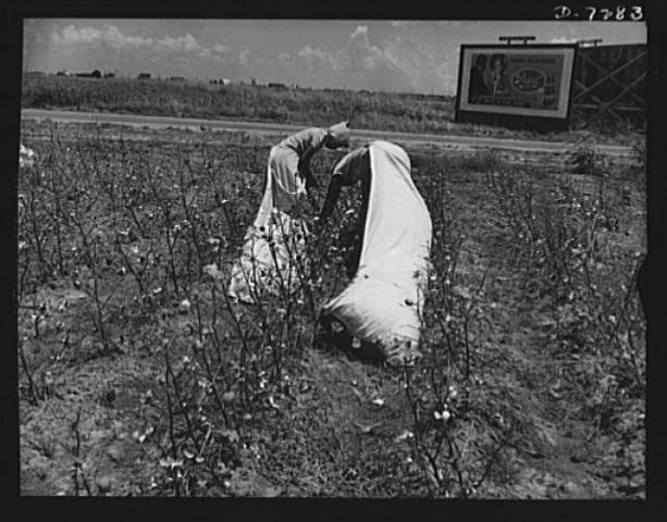 Texas Admitted to the Union