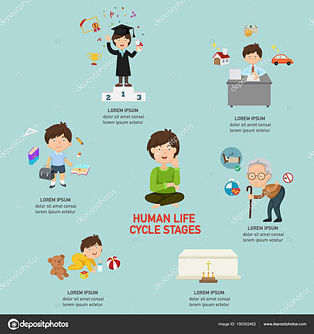 LA EDUCACIÓN COMO SISTEMA EDUCATIVO