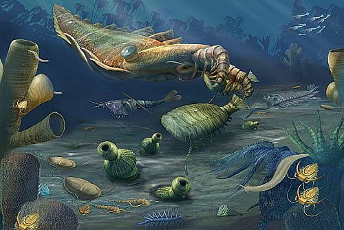 era Paleozoica hace 541 m de años hasta 251 m de años (Periodo Cámbrico, Ordovícico, Silúrico)