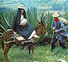 Transmisión de conocimientos