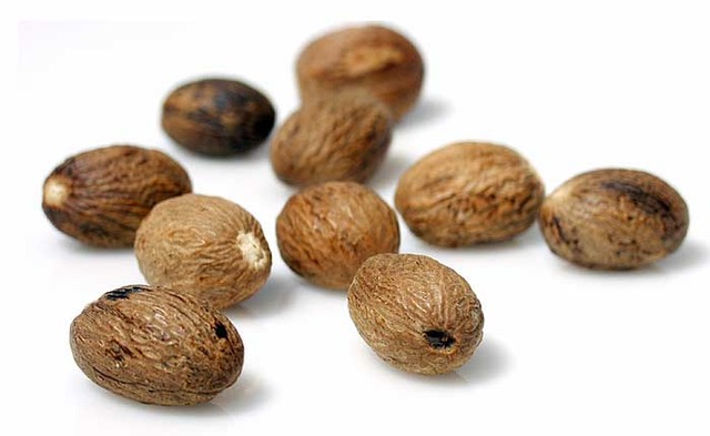 Conquest of the Banda Islands