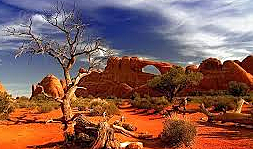 Mass famine for the British settlers - Australia