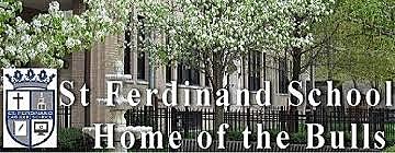 Started polish school