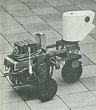 tortue cybernétique