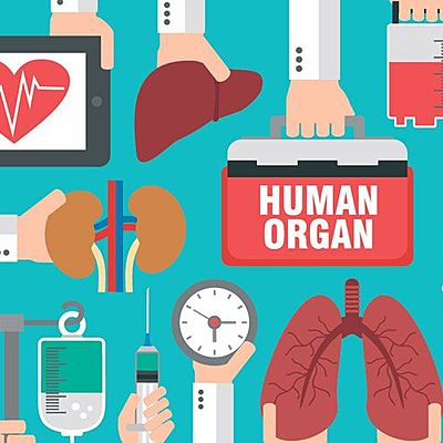 Timeline: Organ Donations History