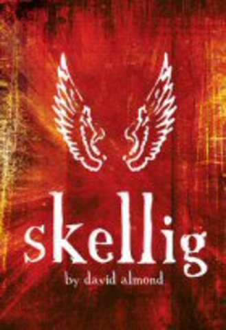 A Stage Version Of Skellig