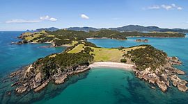 Timeline: Московская битва