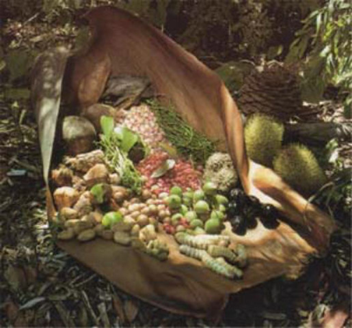 Aboriginal Foods