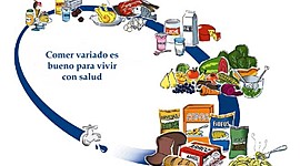 Timeline: ¿ Que comemos? ¿Cuando comemos?